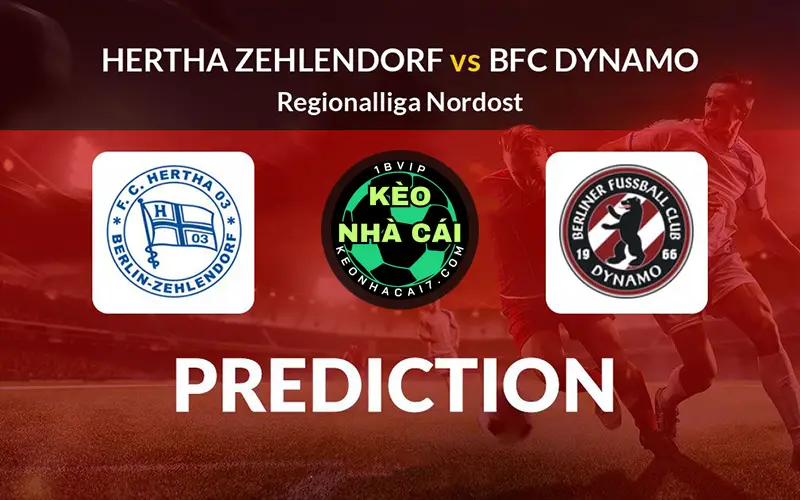 Nhận định bóng đá Hertha Zehlendorf vs BFC Dynamo 02h00 ngày 27/3 Đông Bắc Đức