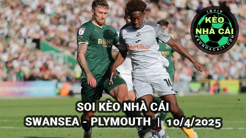 Soi kèo nhà cái Swansea vs Plymouth lúc 01h45 ngày 10/4/2025 Vòng 41 Hạng nhất Anh