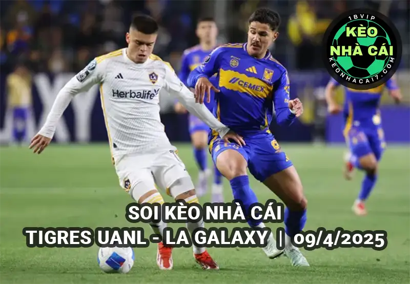 Soi kèo Tigres UNAL vs LA Galaxy lúc 08h00 ngày 09/4/2025